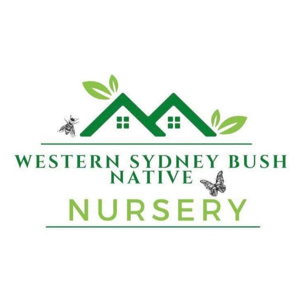 Western Sydney Bush Native Nursery 